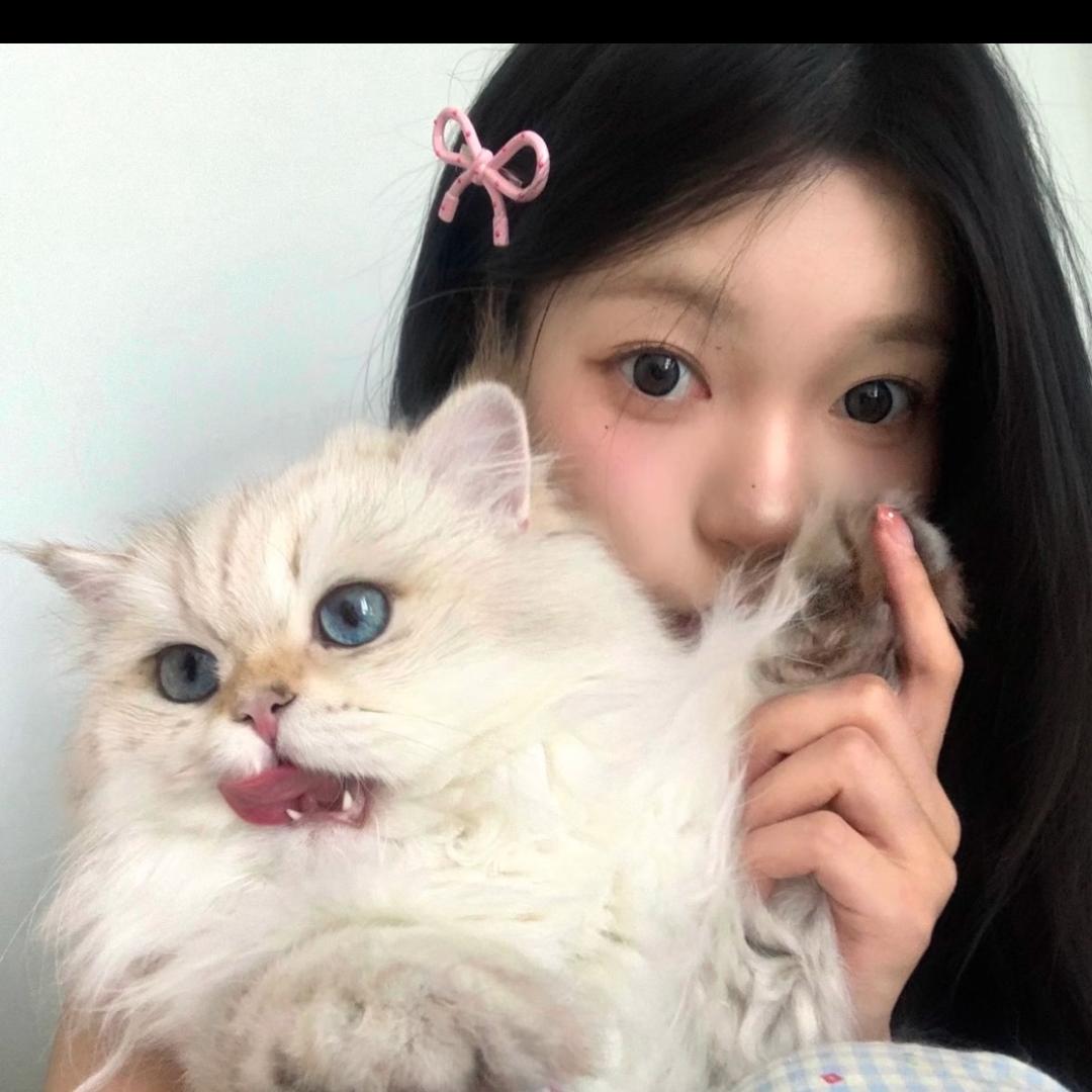 做个开心笨蛋