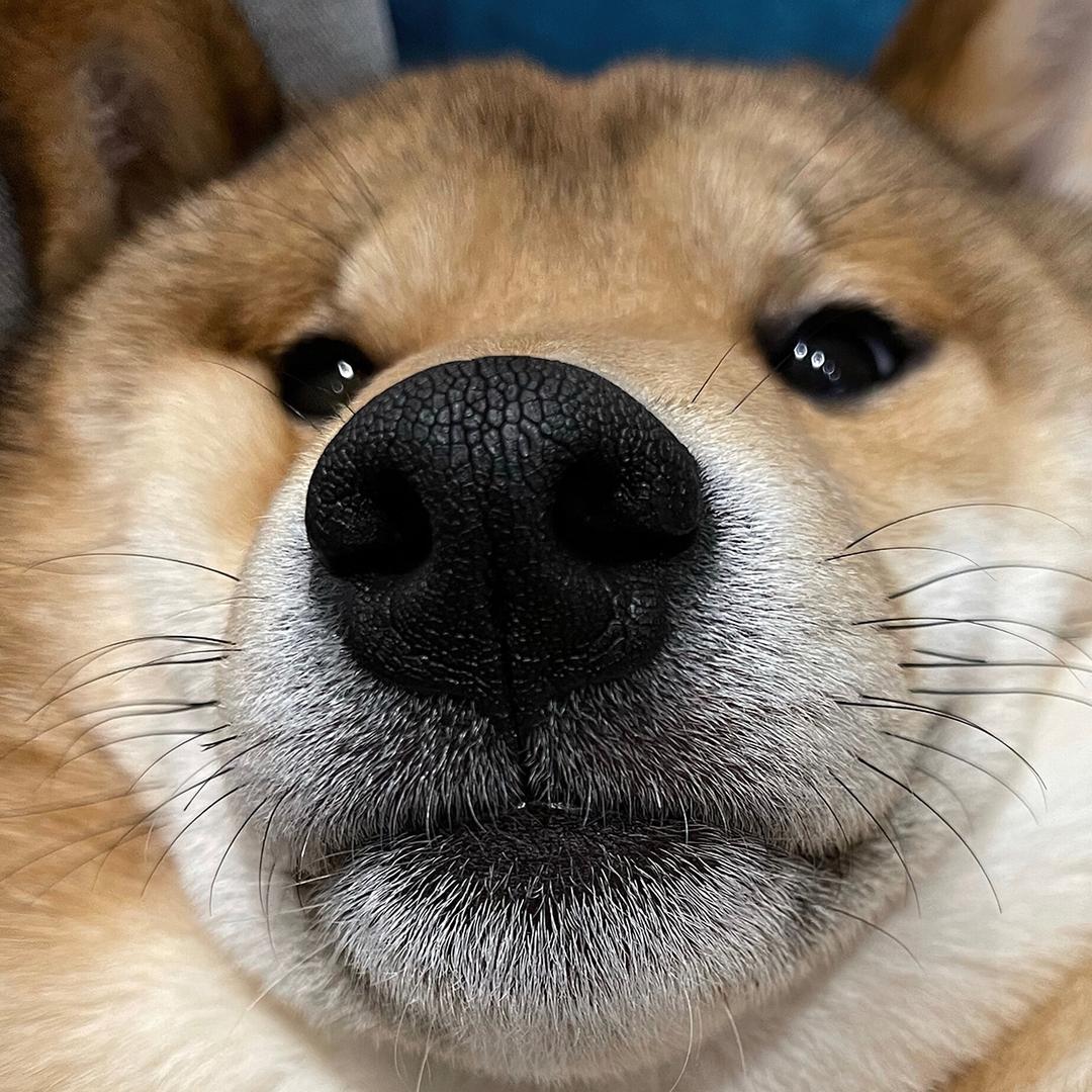 “乔治”