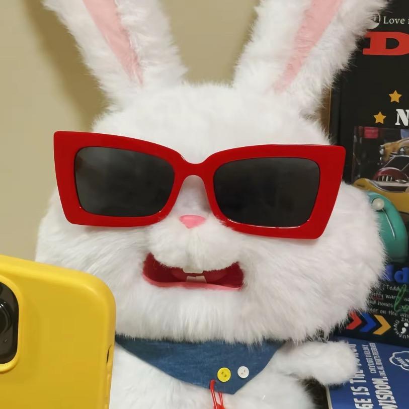 🐰
