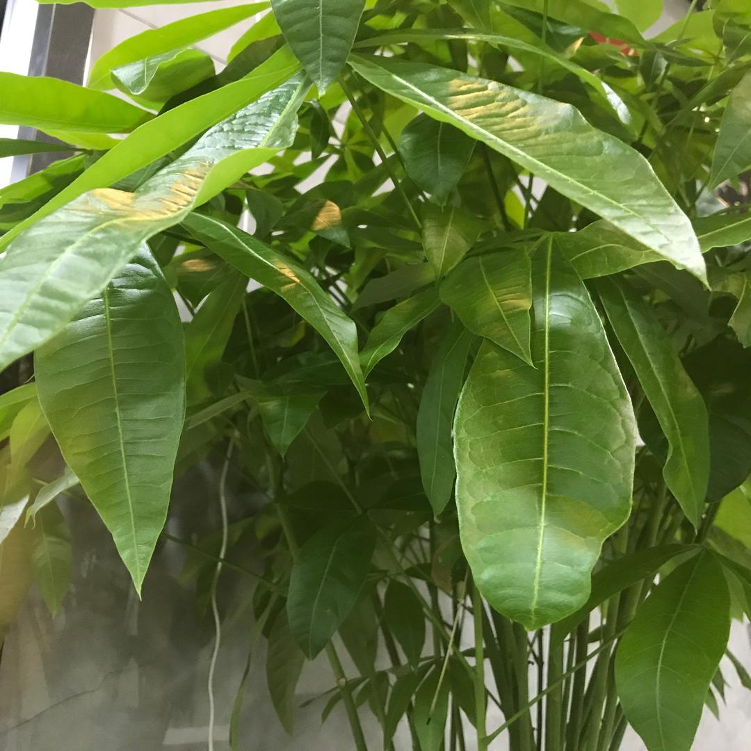 华仔物流百货店