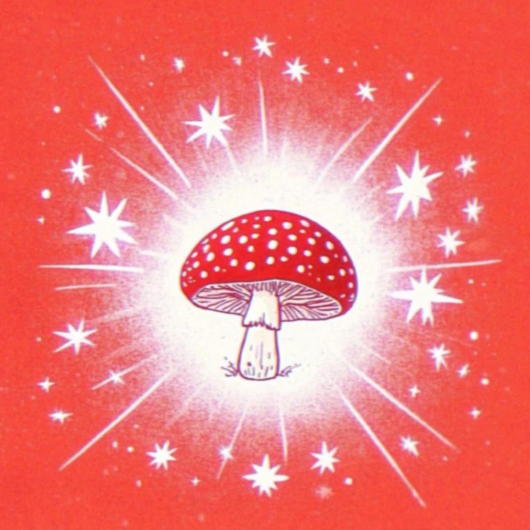 Veeの笋业有限公司