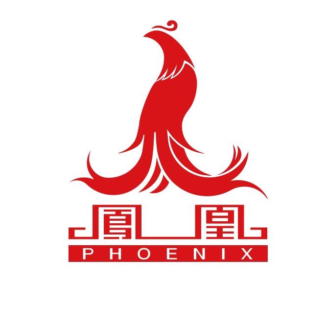 凤凰电动车旗舰店