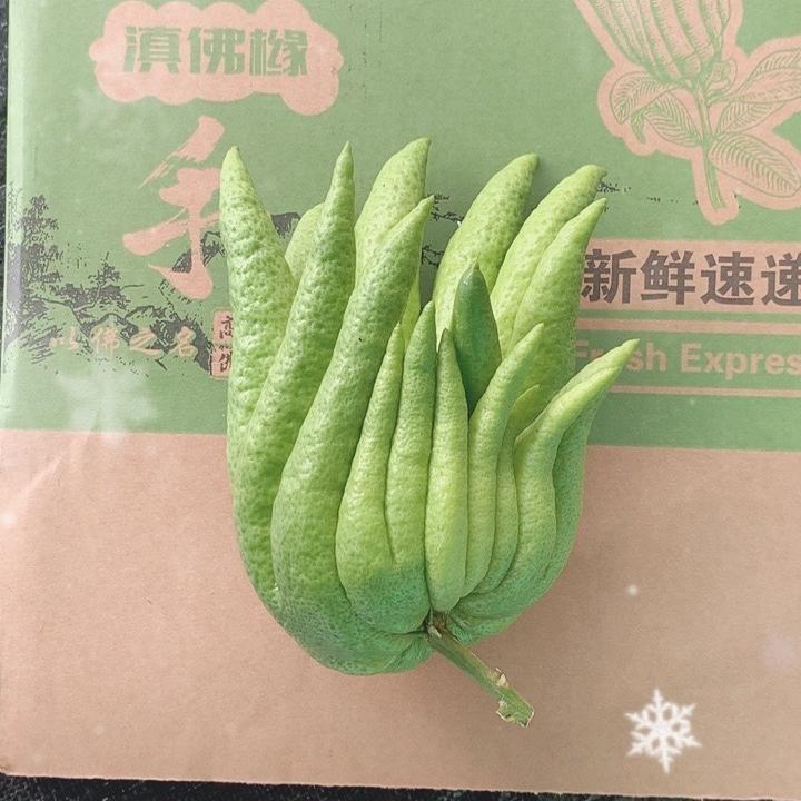 云果雅集花行
