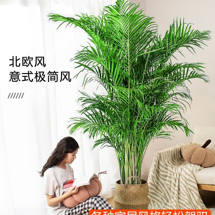 优一园艺