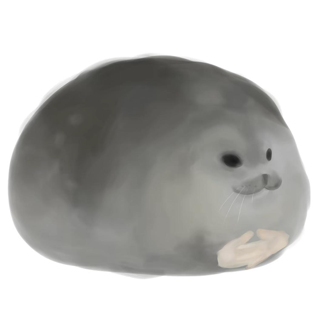忧郁的海豹66