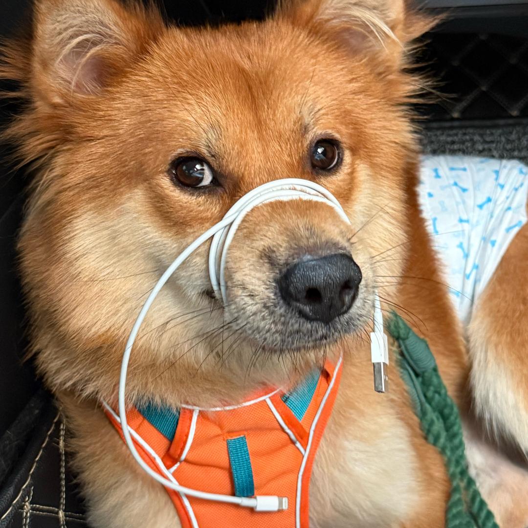 只加五颗冰（见过权志龙版）