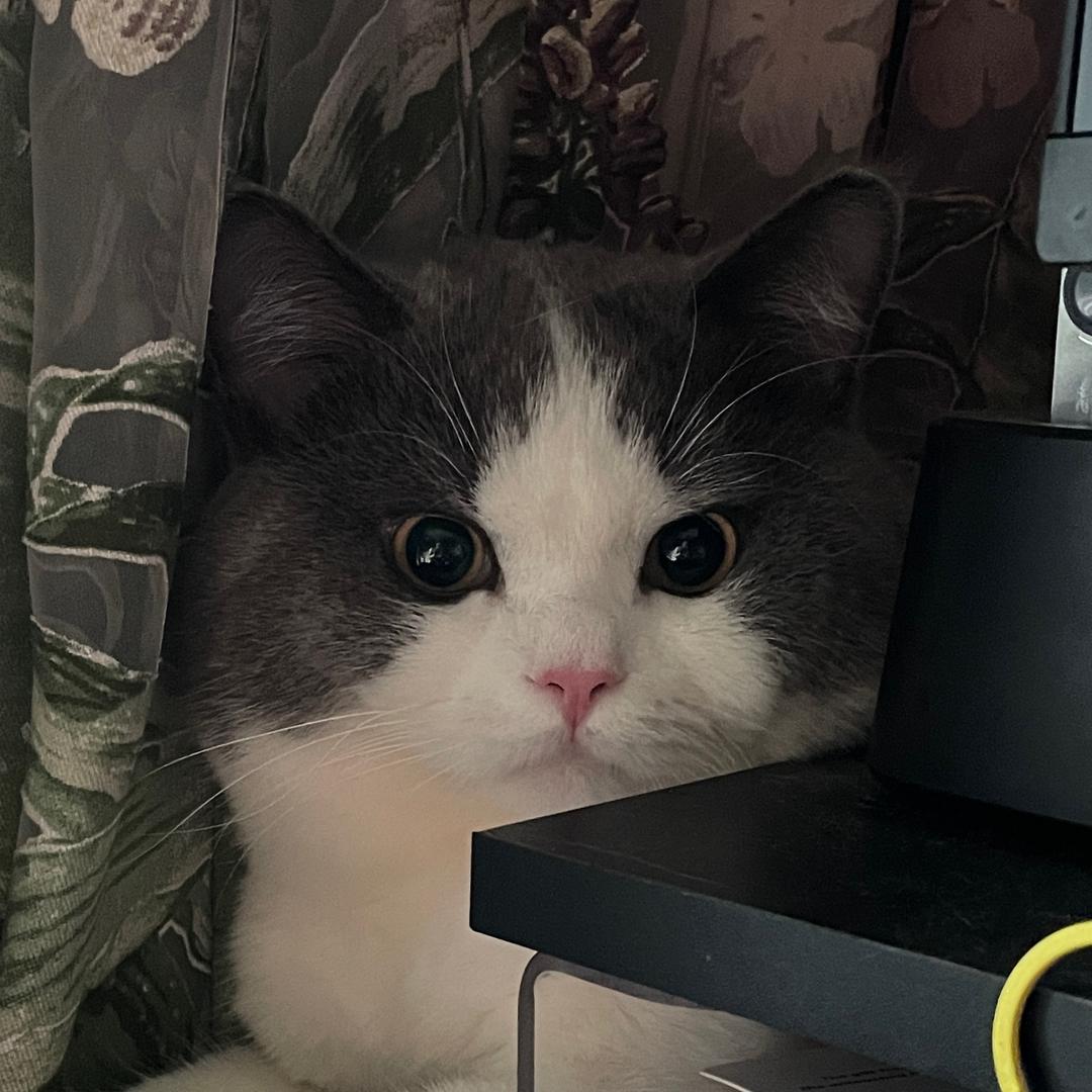 摄影美工大饼砸