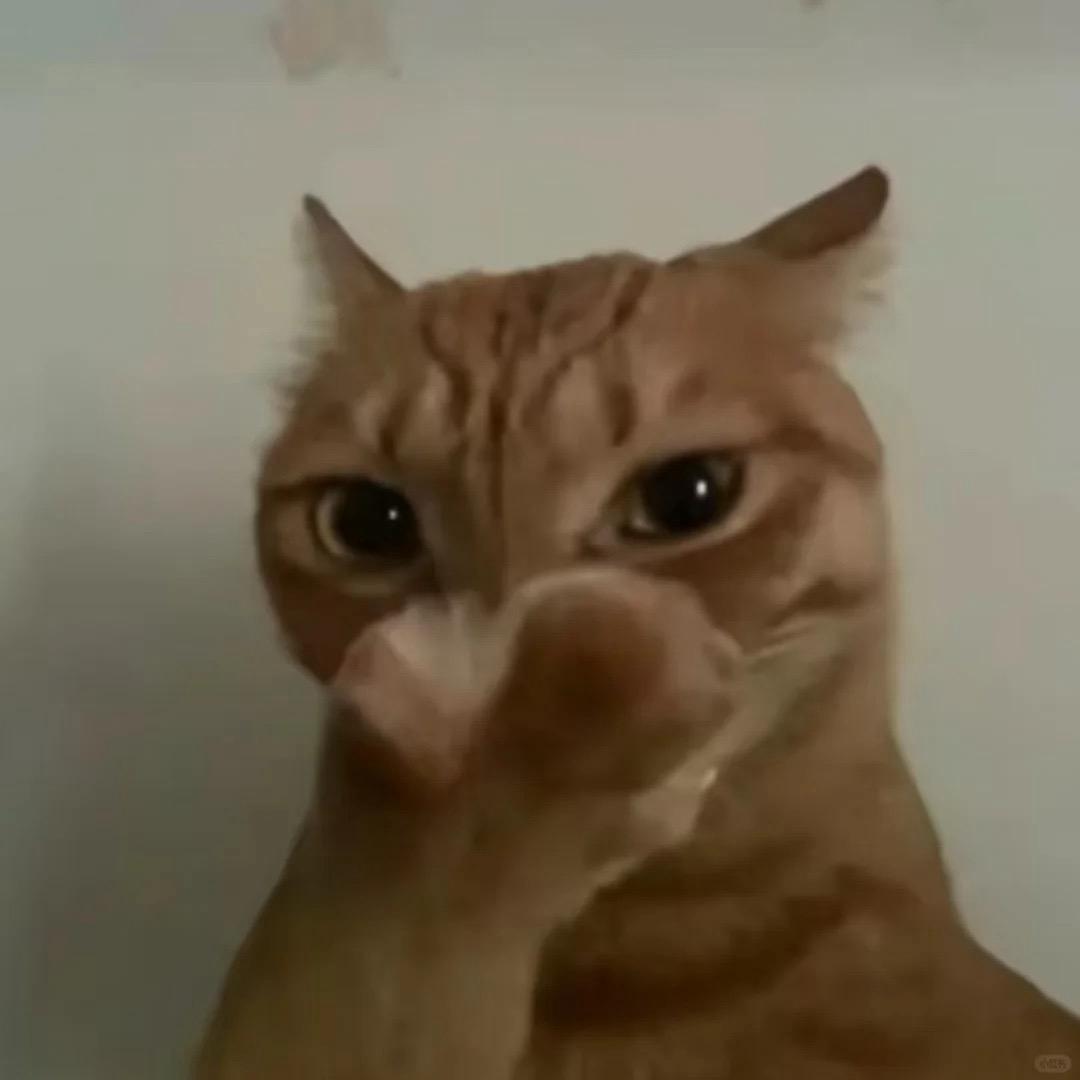 咪的天