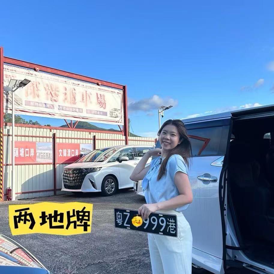 深港通-两地牌（阿Lynn)