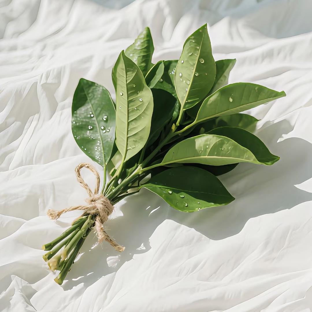 你不可以再吃了