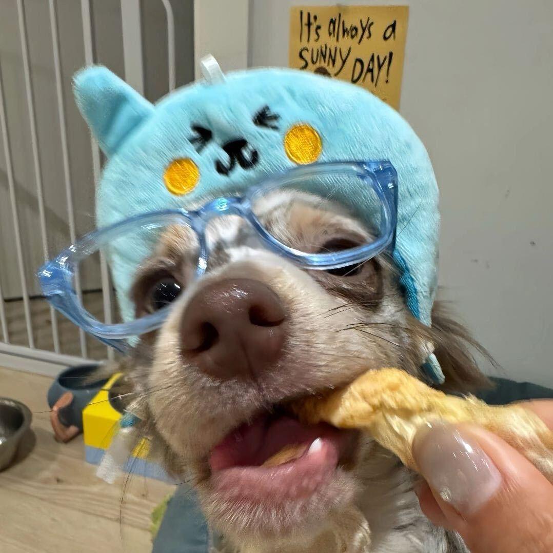 今天能多吃点吗