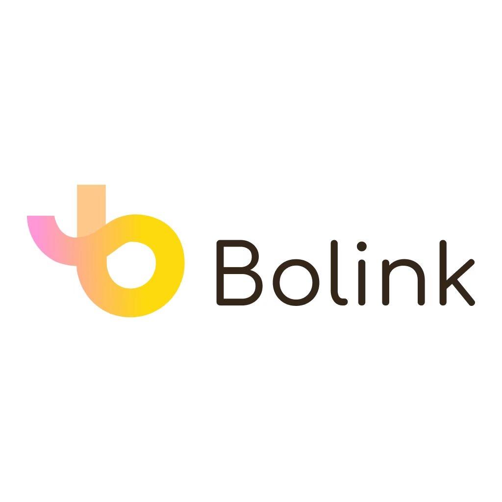 Bolink跨境电商