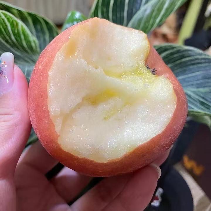 小丽水果精选