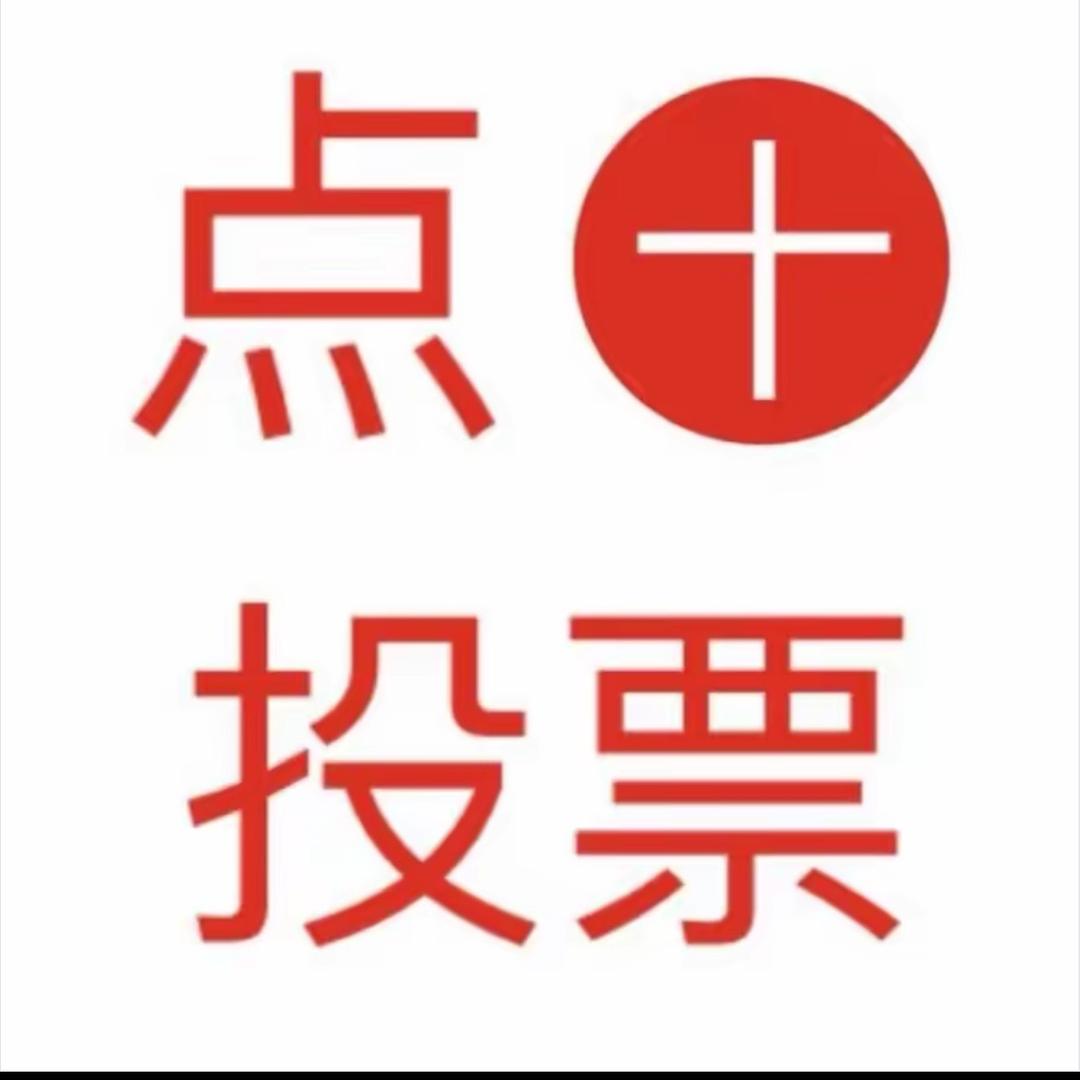 农村李书记