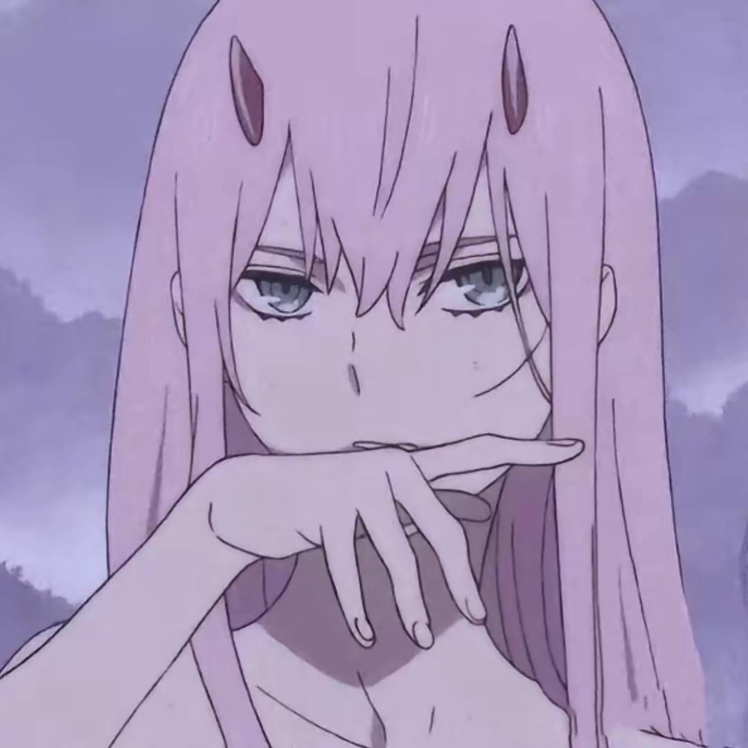 星晴猫