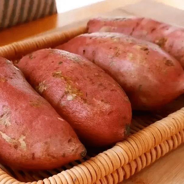 선발하다