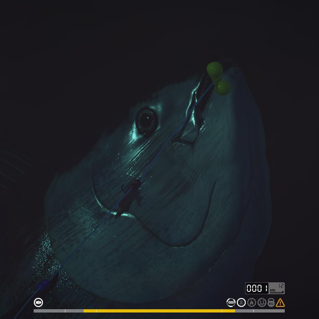 俄罗斯钓鱼4韩立