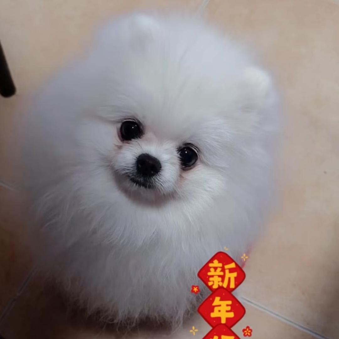 用户15869470996