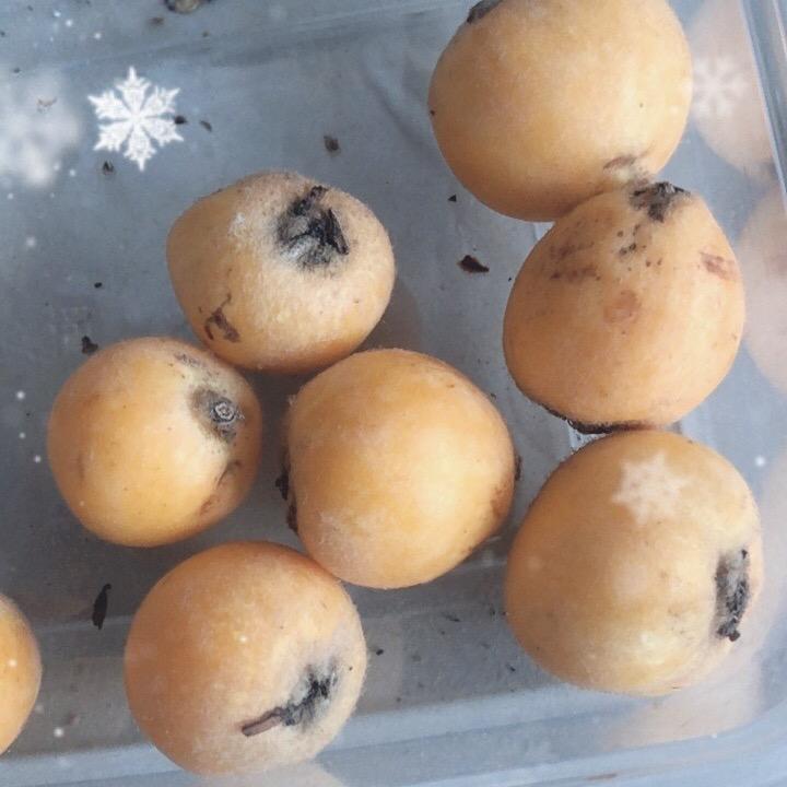 李子