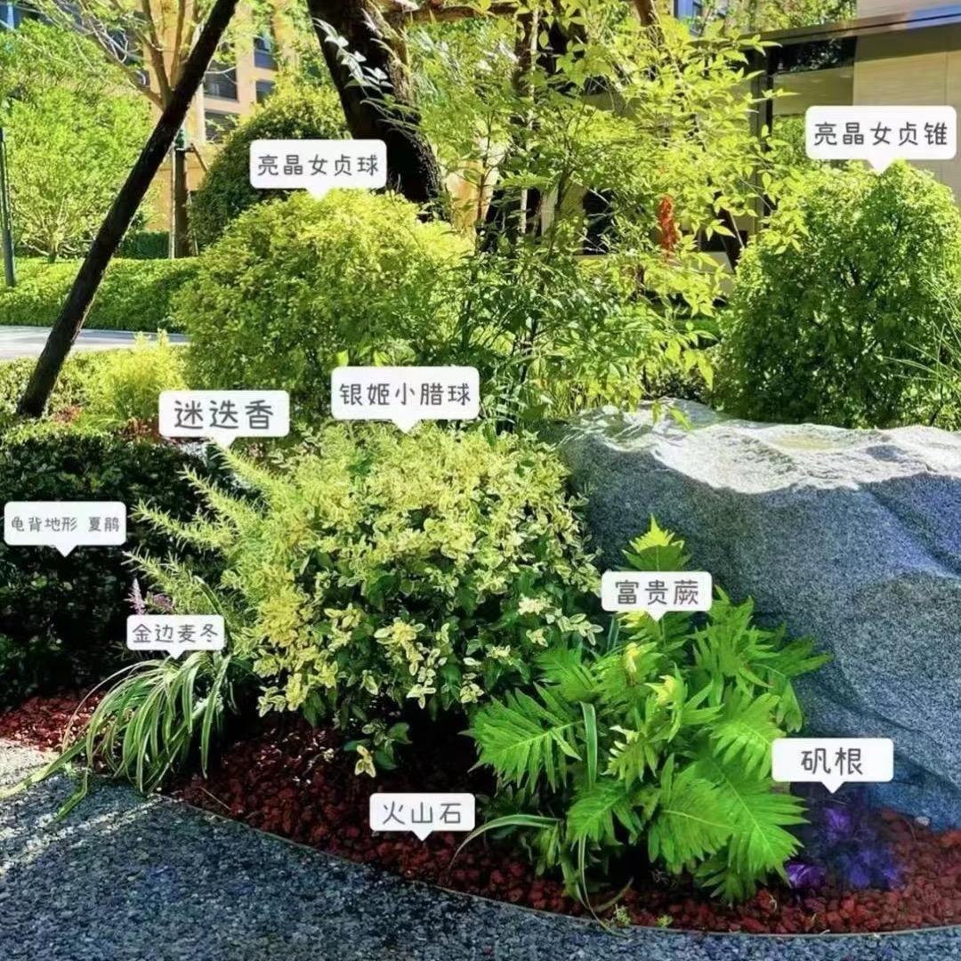 徐小姐花境园艺基地1号