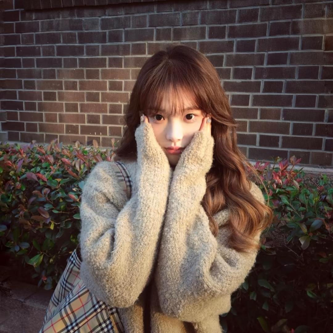 李婉婷·