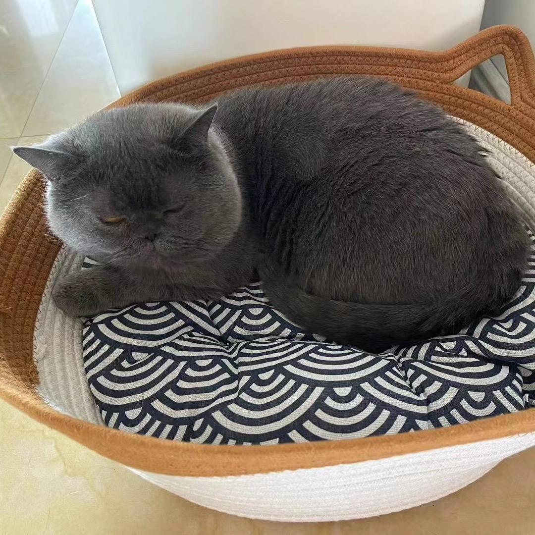 文文宠物用品店