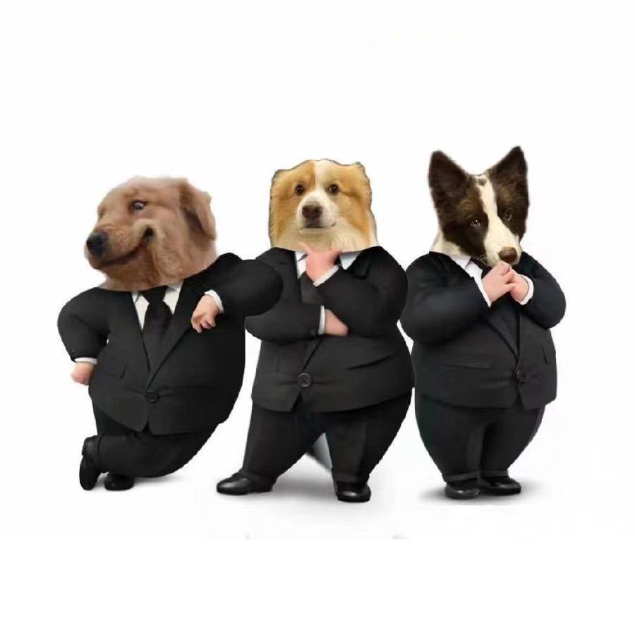 三只狗穿戴甲批发