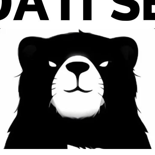 晚熊野生小众文玩核桃