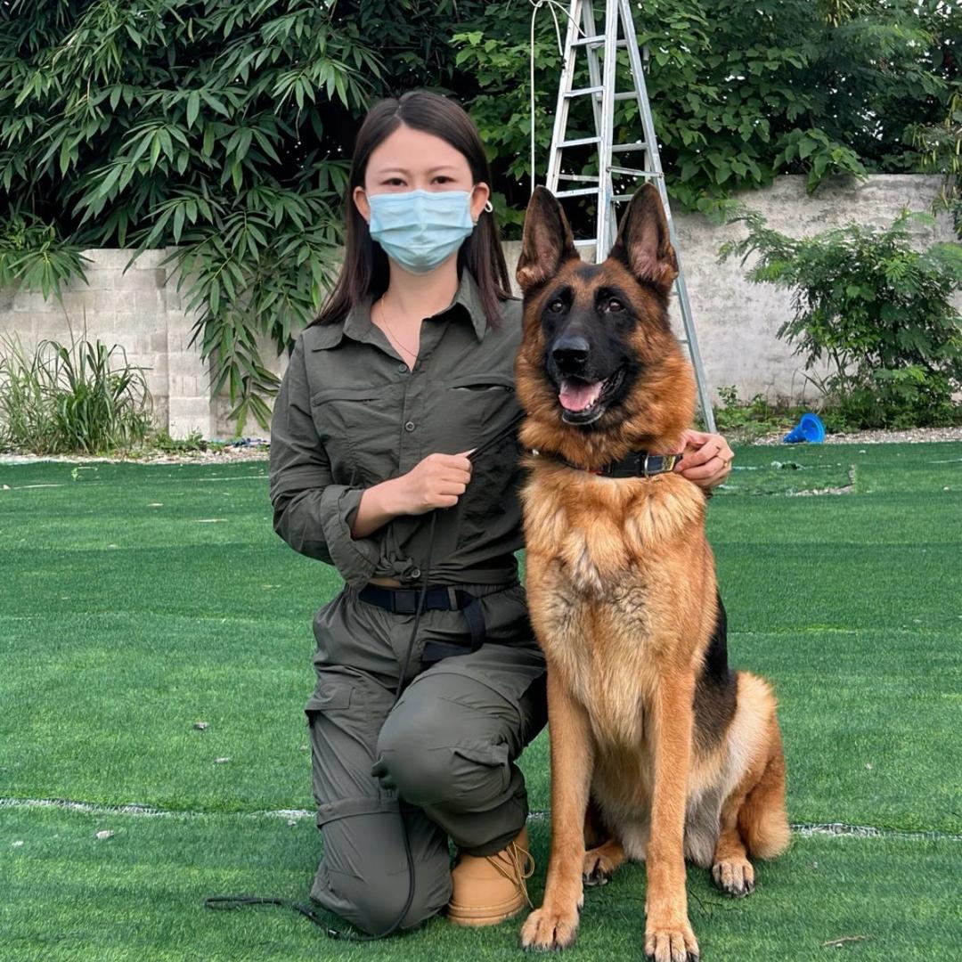 汪星人教练大美.