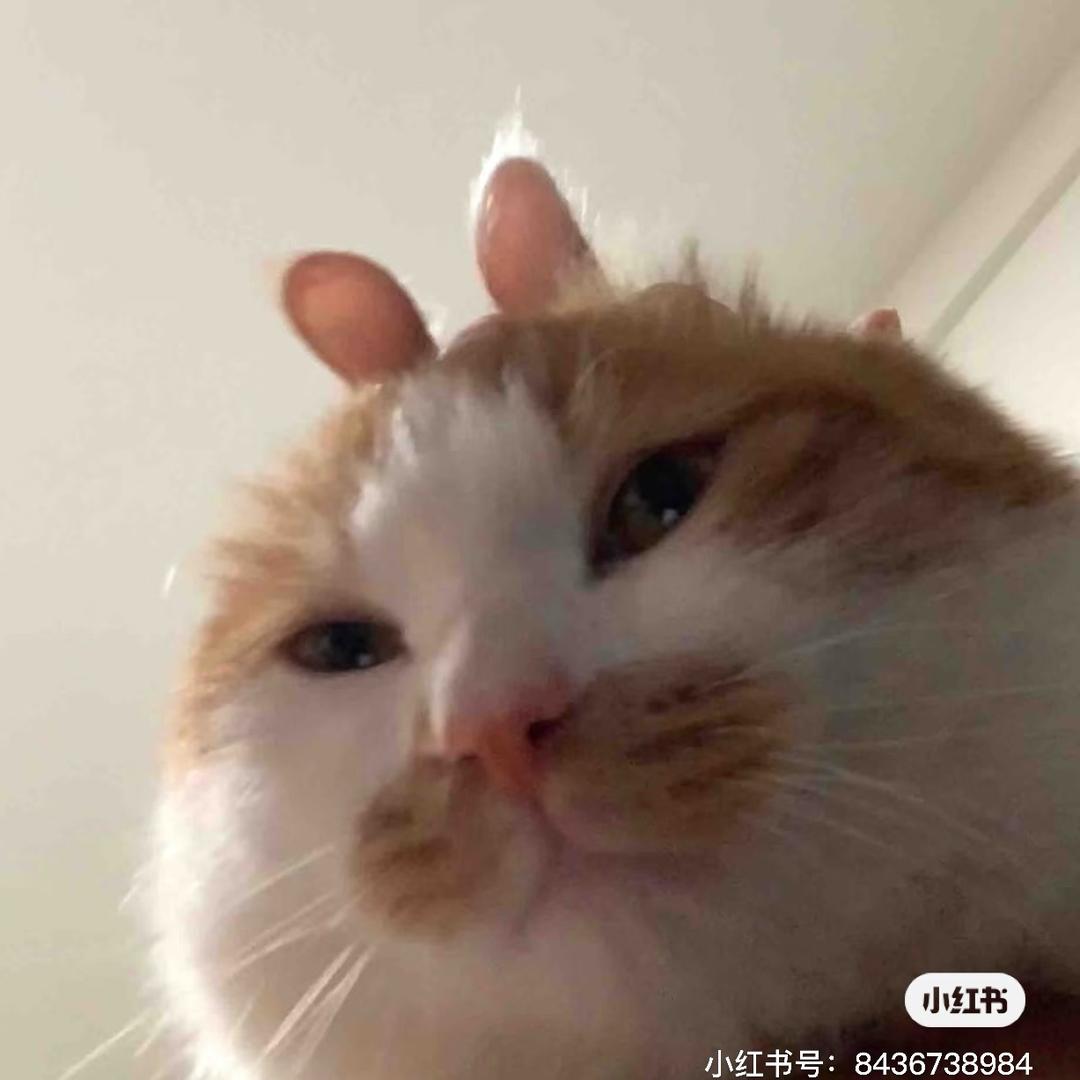 一觉睡薯