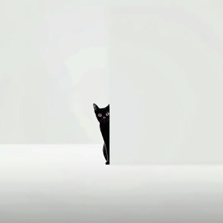 迪迦.