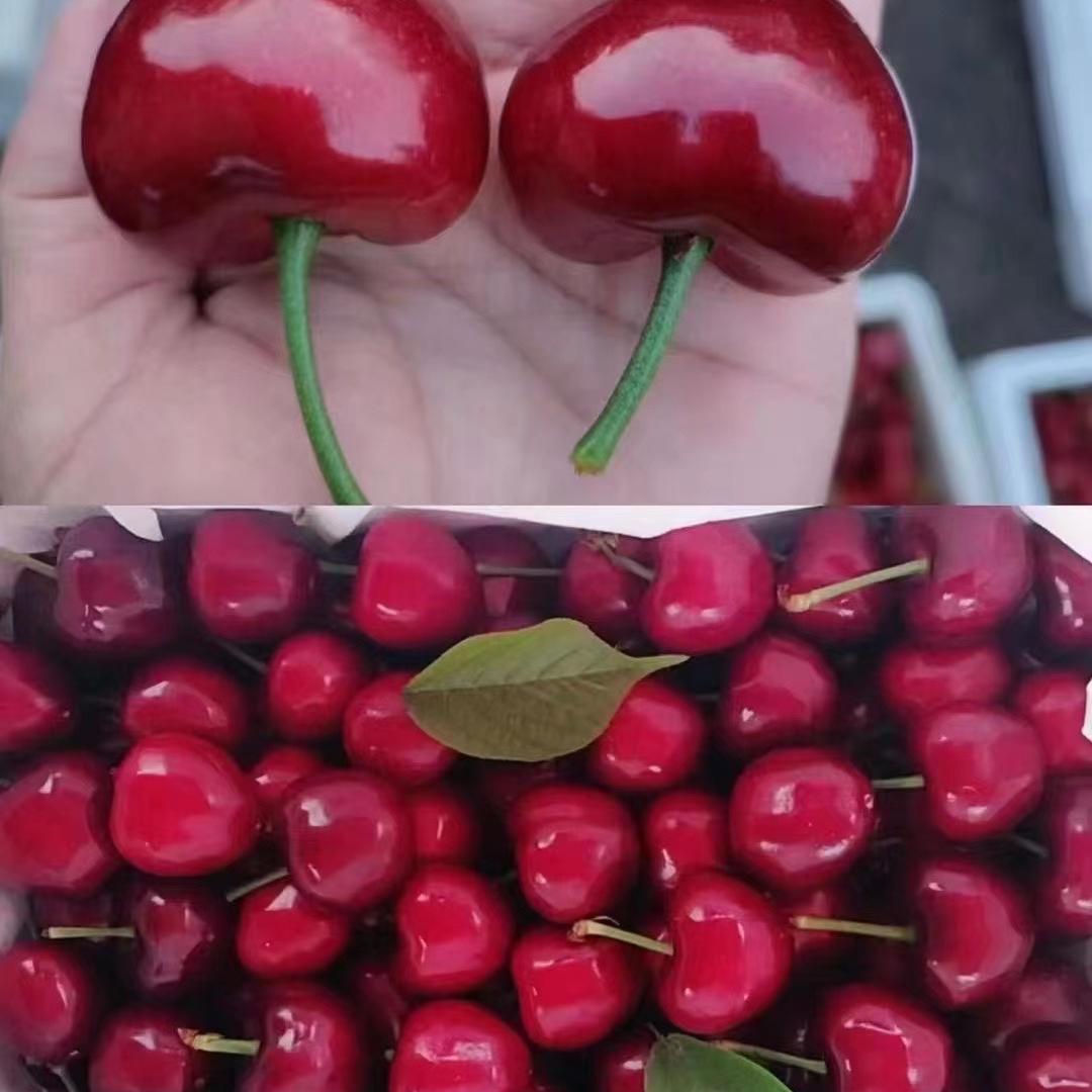 崔老大精品果业