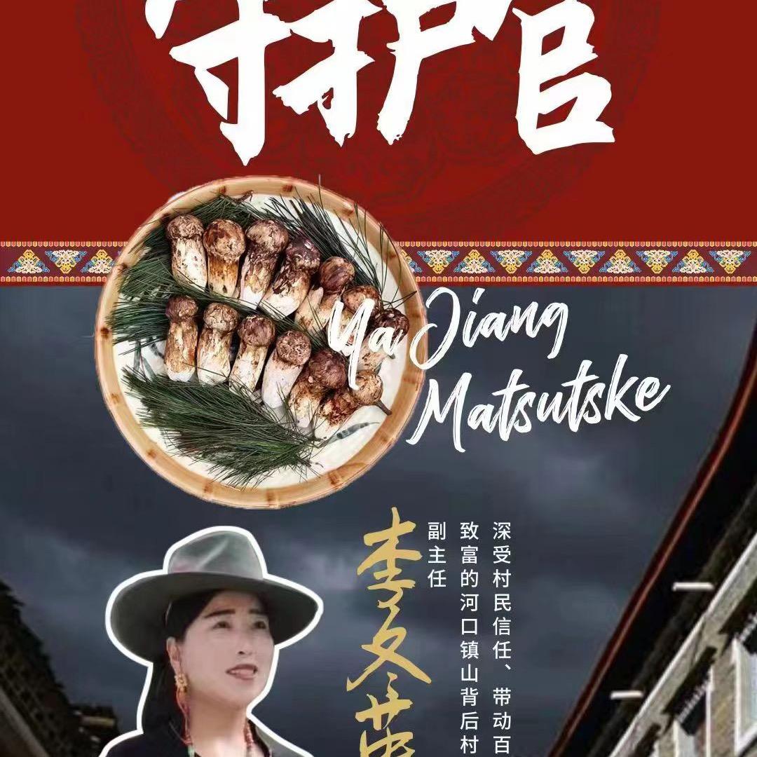 雅江松茸之乡李姐