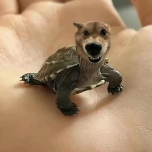 王小渣子