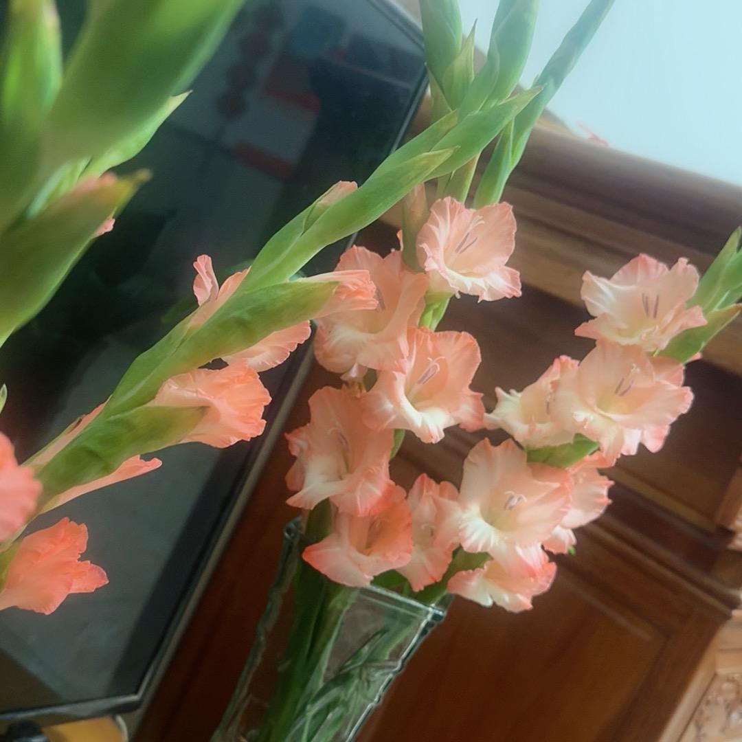 安康🌸