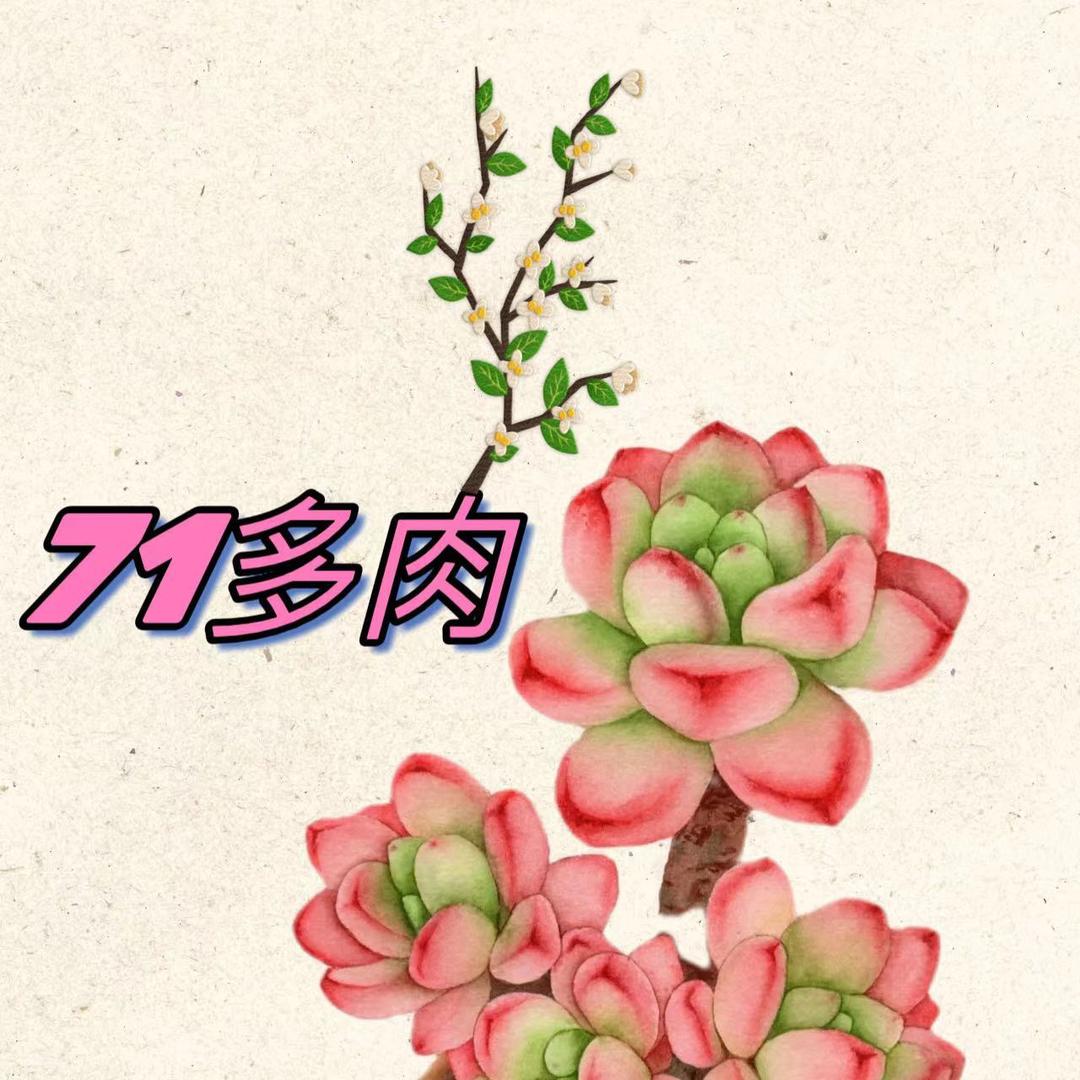 71多肉园艺