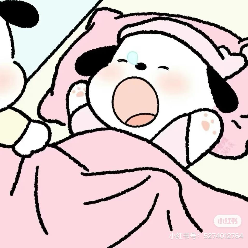 小李不讲理o