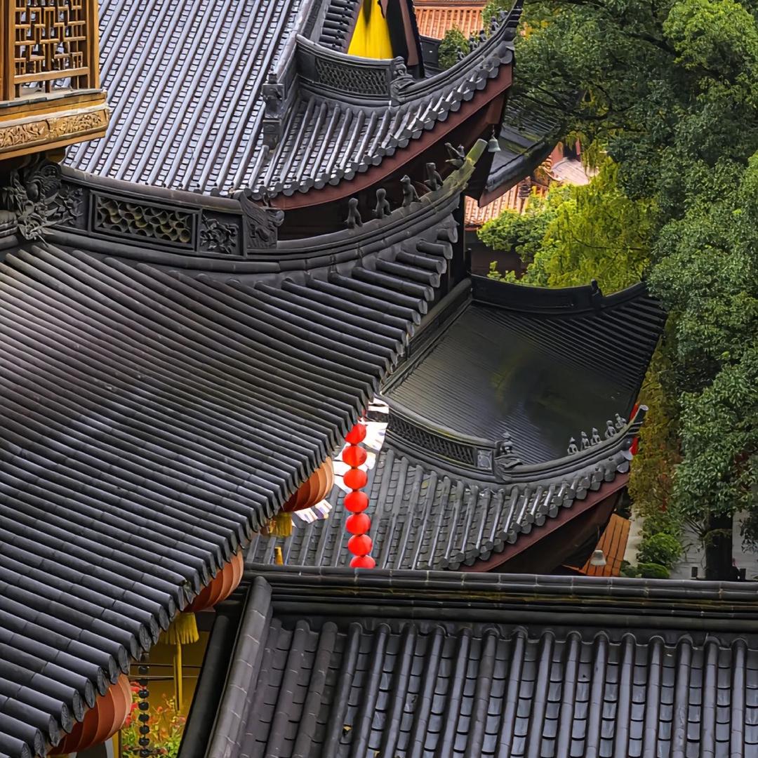 悟尘-