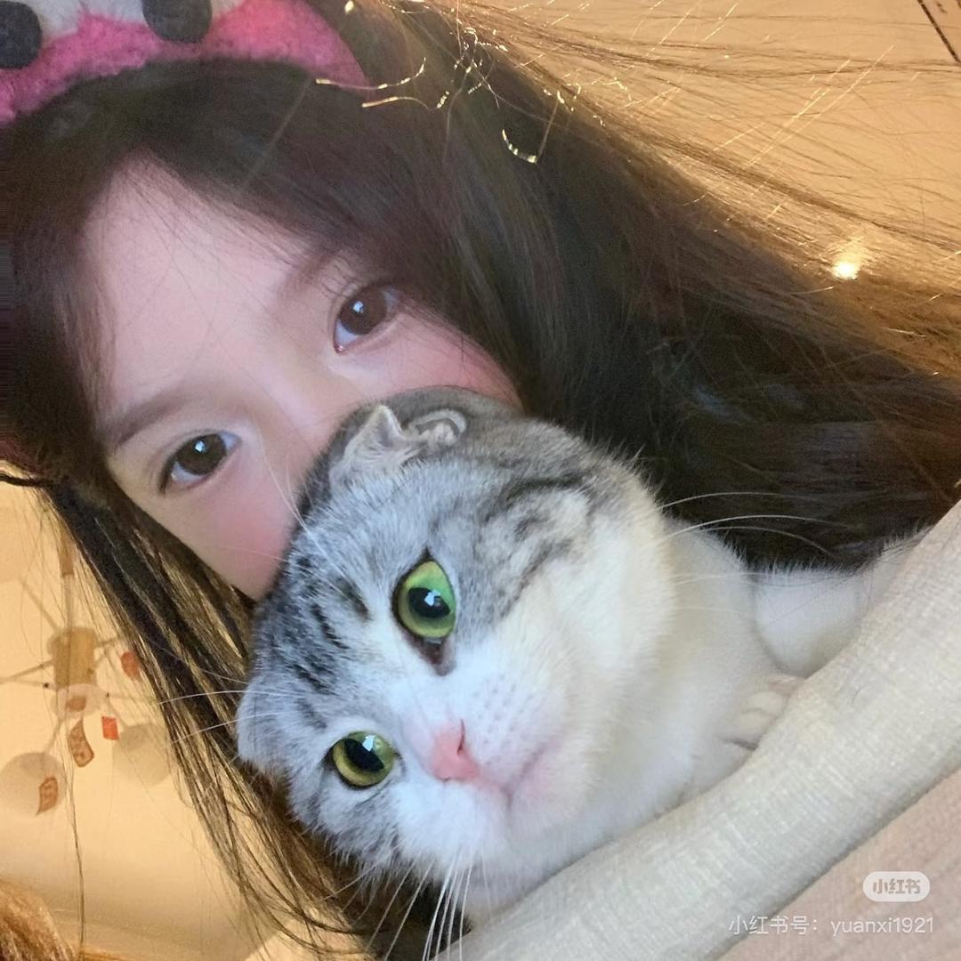 眼泪拌饭🐱