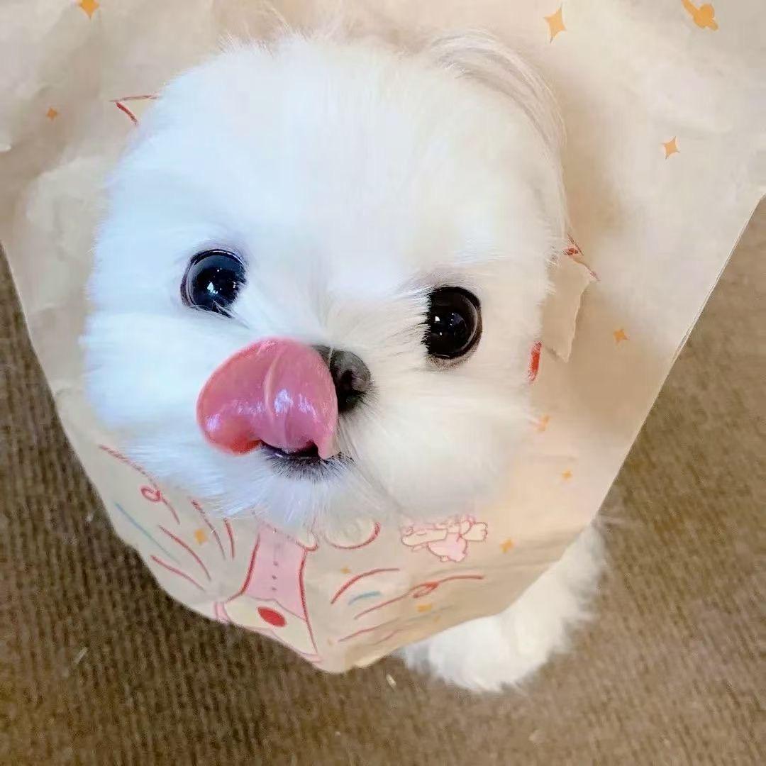 Uiiu