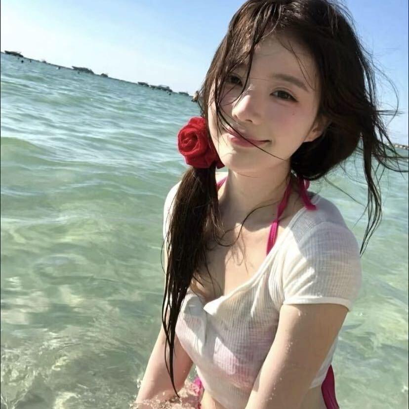 毛毛是只猫.