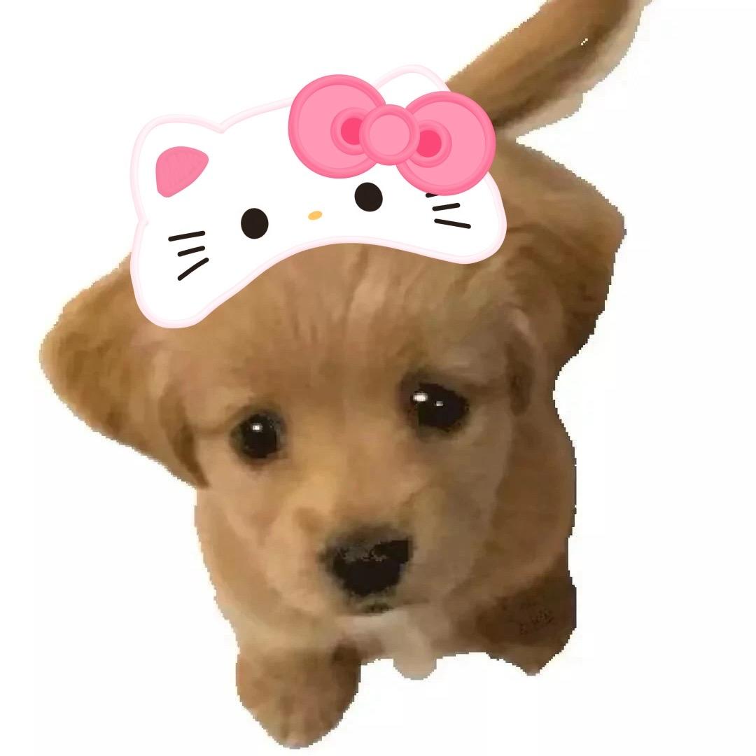 yoki