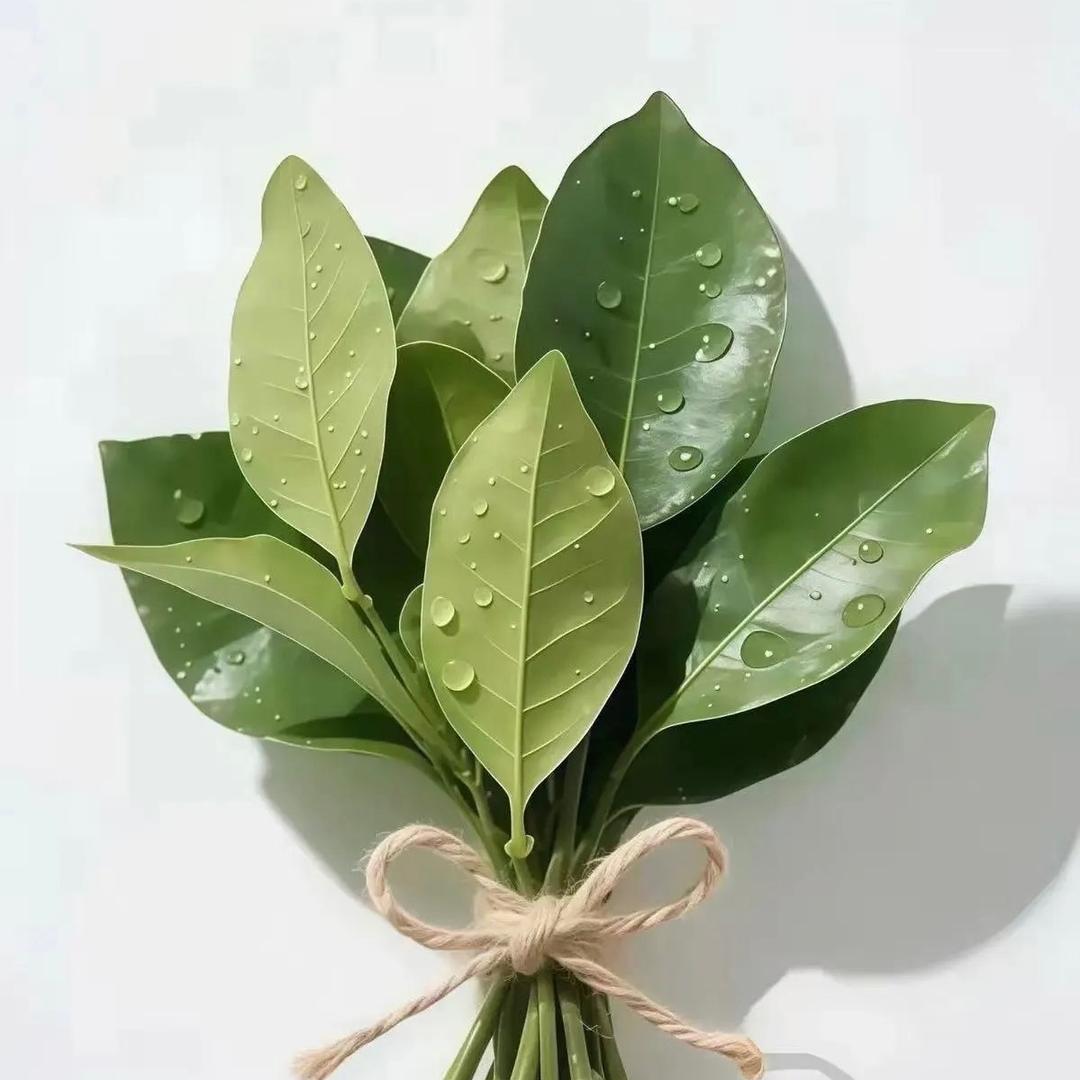 云朵里的图书馆📚（新号，努力涨粉中）