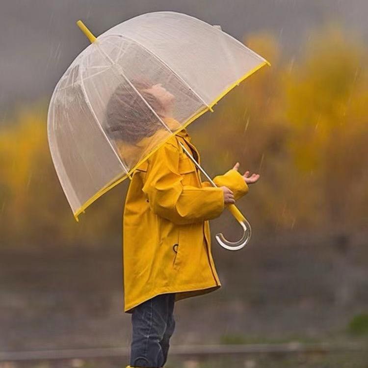 罗庄英语教育-BIYU👩🏻‍🏫