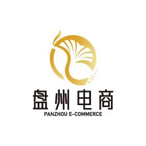 盘州电商