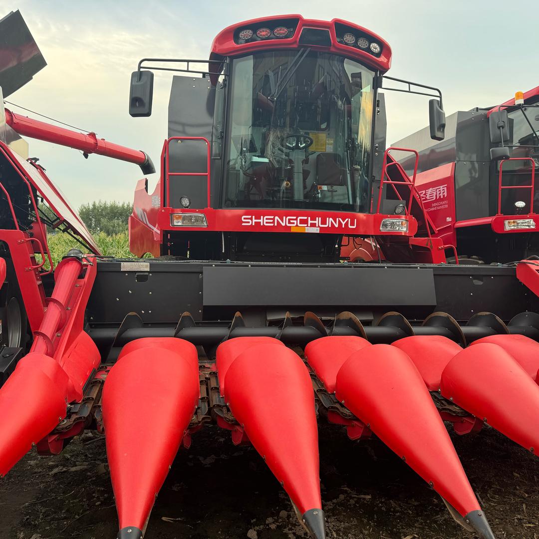 海伦老妹万年历圣春雨