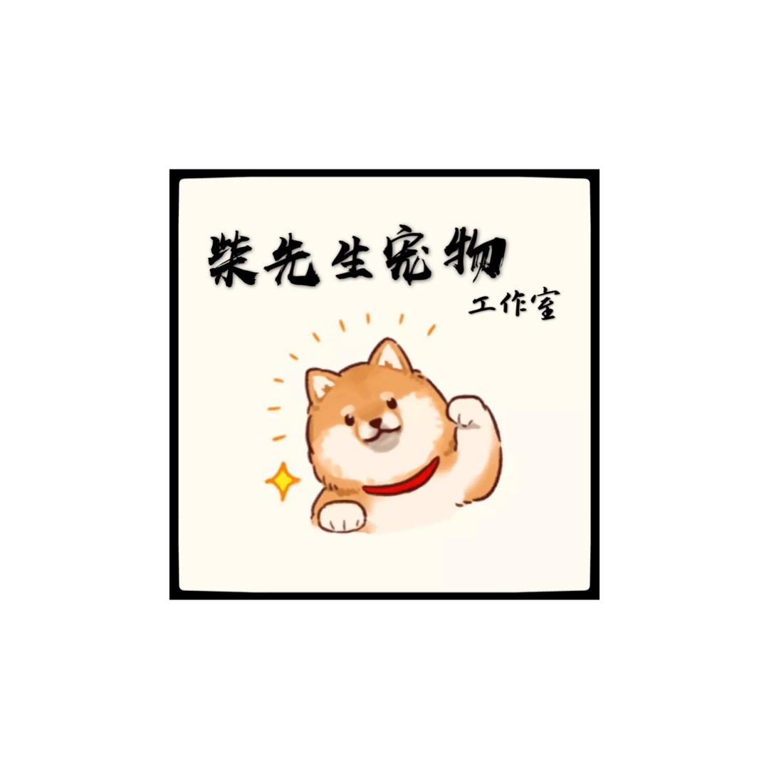 柴先生宠物工作室
