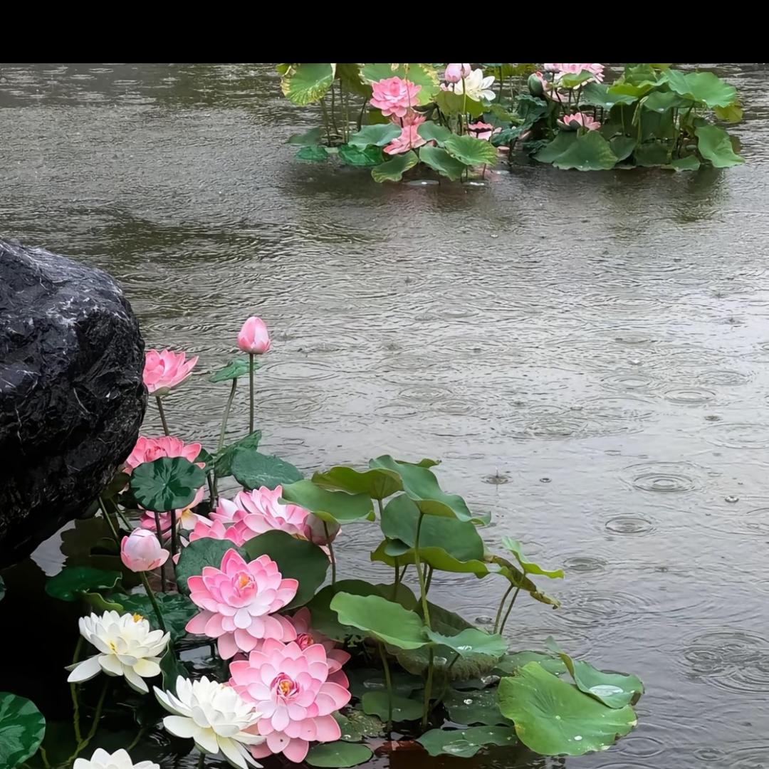 夏天