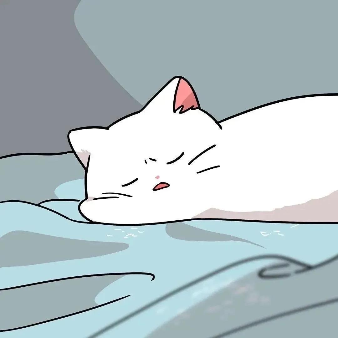 阿鱼