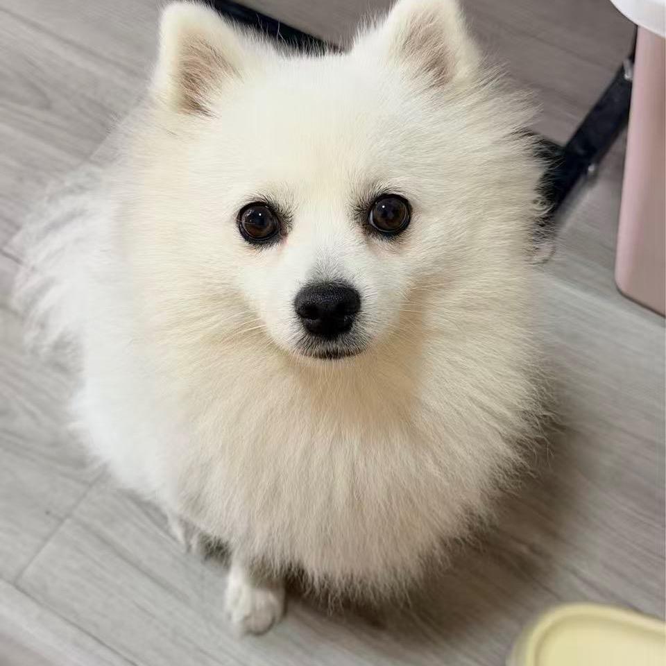 体谅